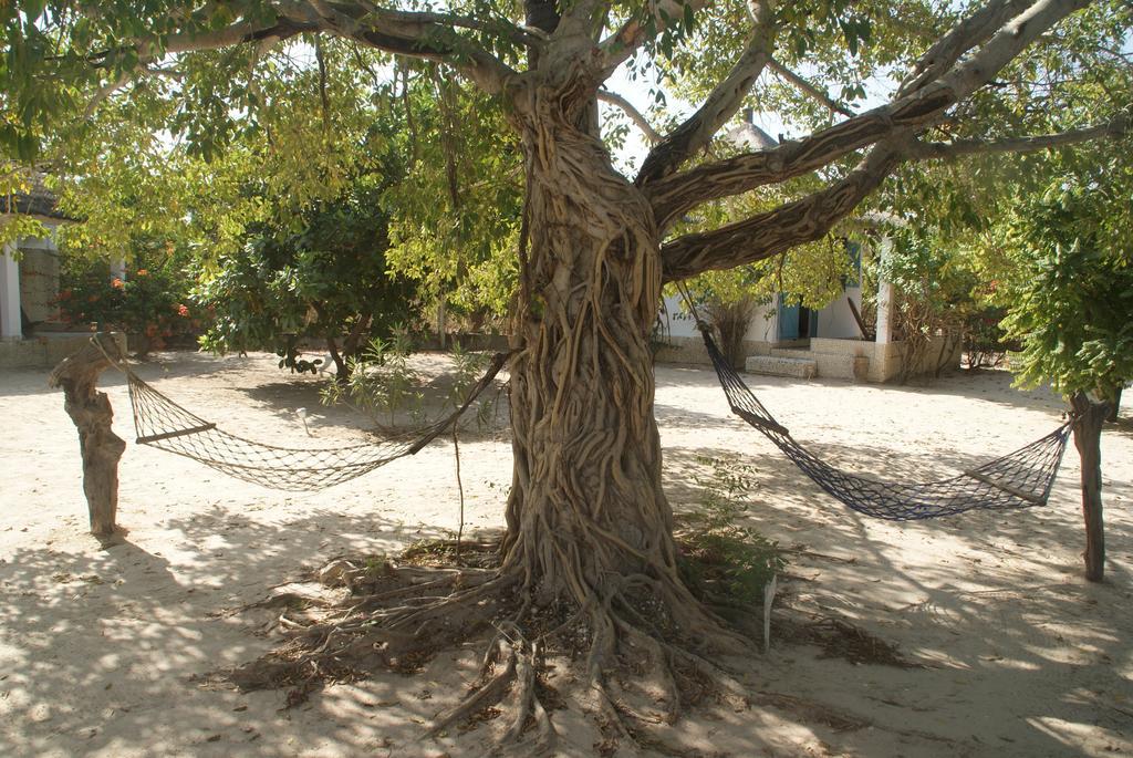 Bazouk Du Saloum Ecolodge Mar Lodj 部屋 写真