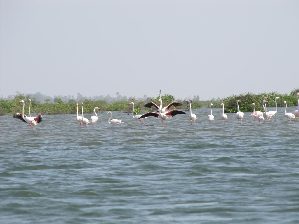 Bazouk Du Saloum Ecolodge Mar Lodj エクステリア 写真